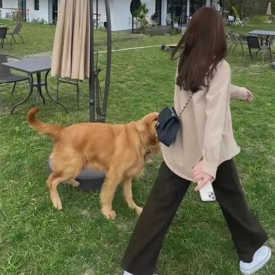 富贵招财猫